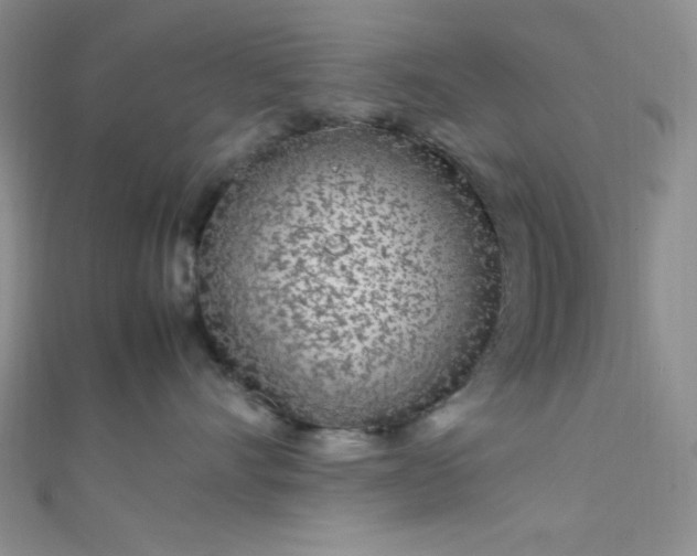 X0000108480528200904171613