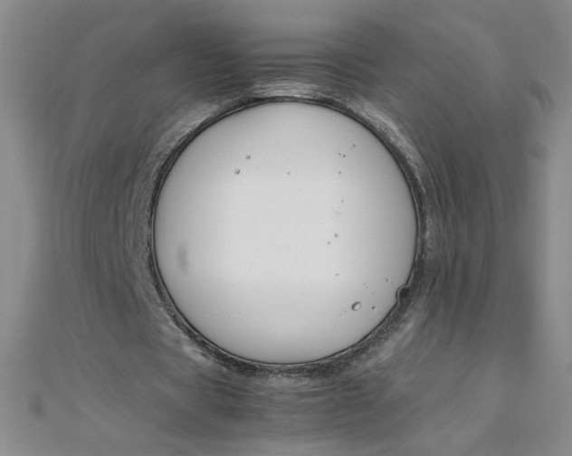 X0000108480529200904171613