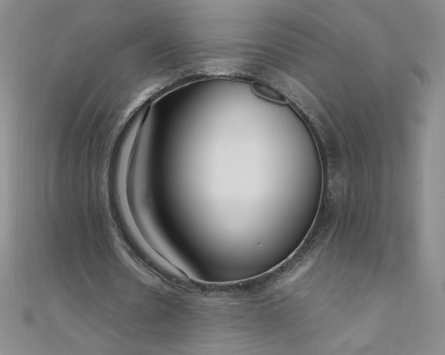 X0000108480530200904171613