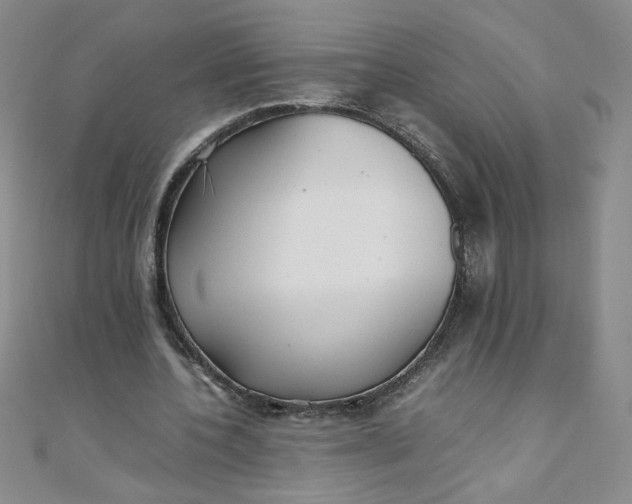 X0000108480532200904171613