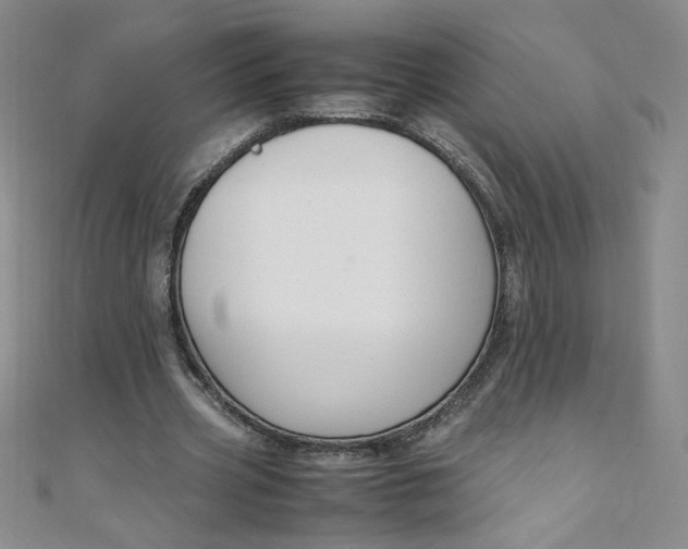 X0000108480533200904171613