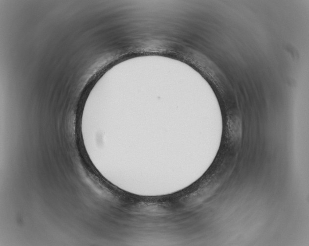 X0000108480534200904171613