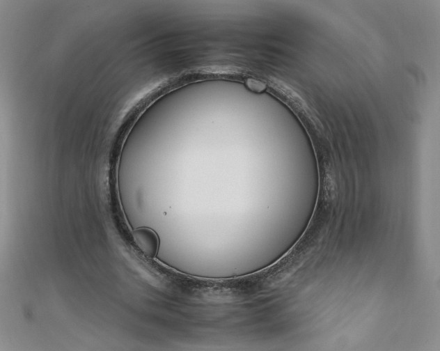 X0000108480535200904171613