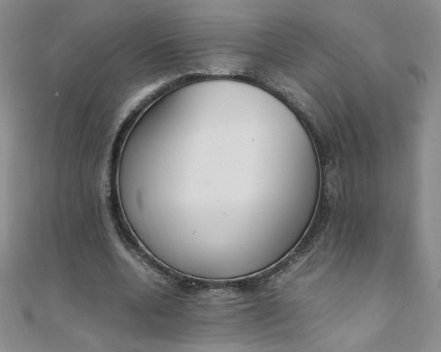 X0000108480536200904171613