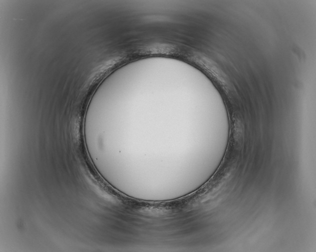 X0000108480537200904171613