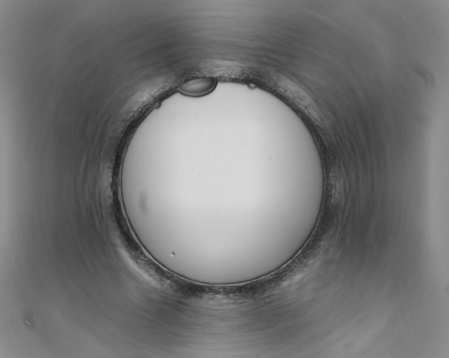 X0000108480538200904171613