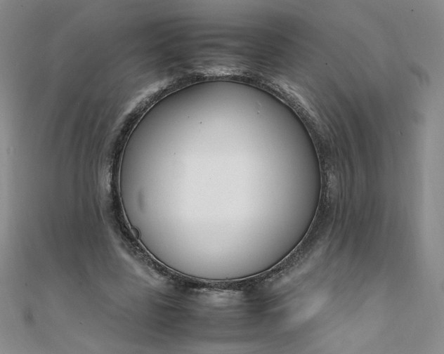 X0000108480539200904171613