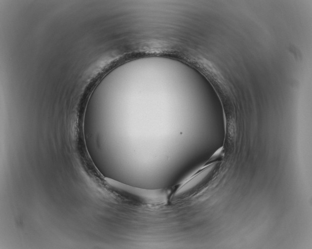 X0000108480540200904171613