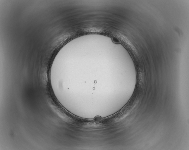 X0000108480541200904171613