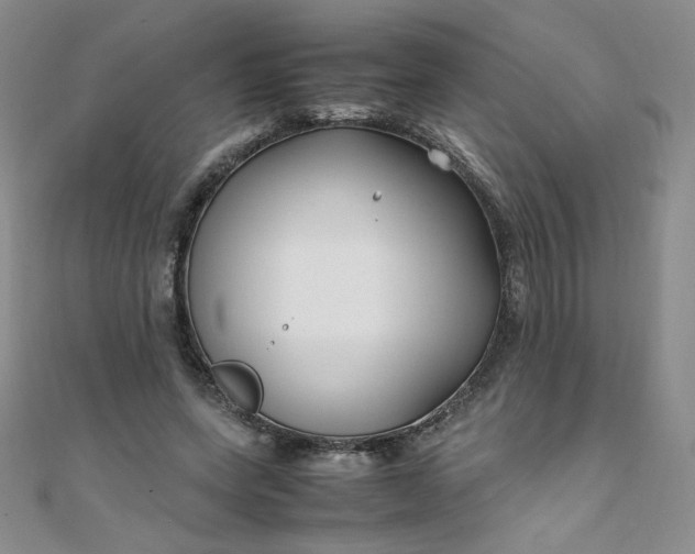 X0000108480543200904171613