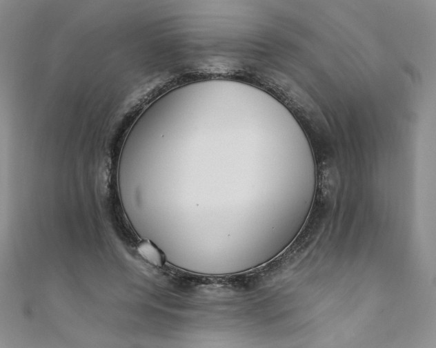 X0000108480544200904171613