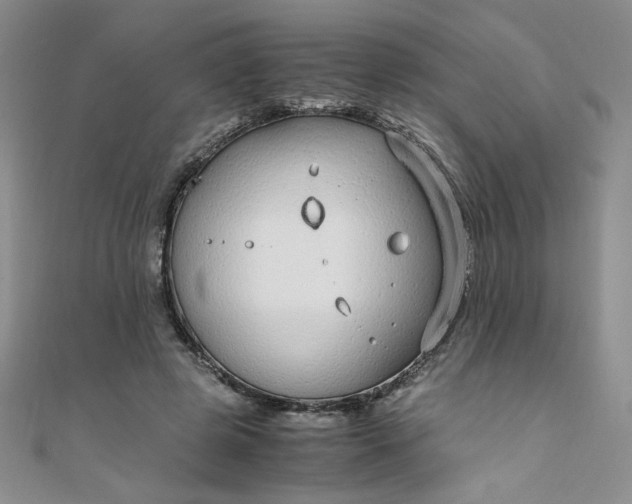 X0000108480545200904171613