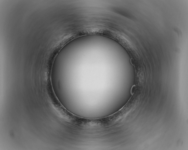 X0000108480546200904171613