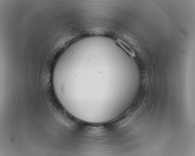 X0000108480548200904171613