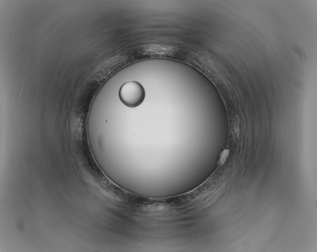 X0000108480551200904171613