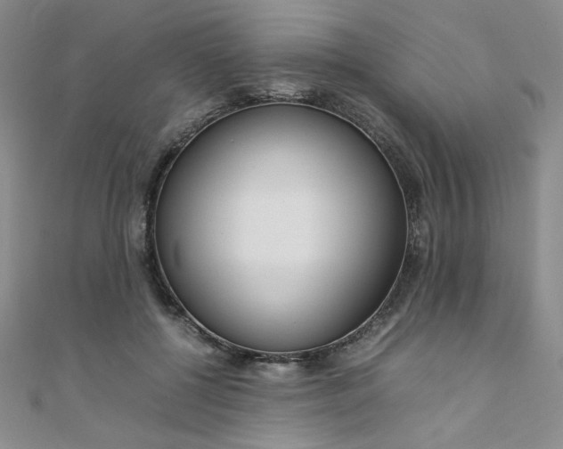 X0000108480552200904171613