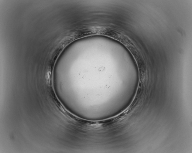 X0000108480553200904171613