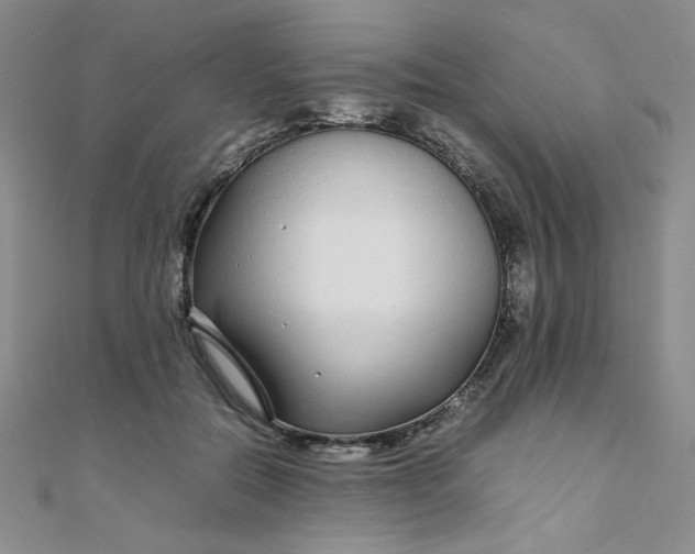 X0000108480554200904171613