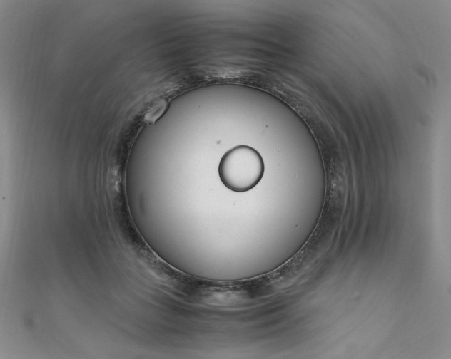 X0000108480555200904171613