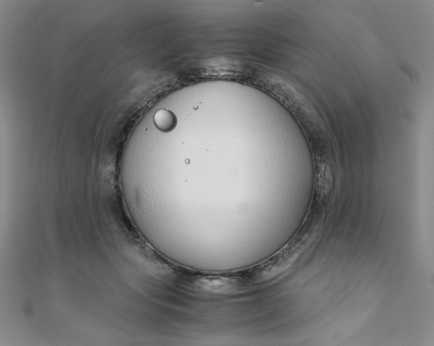X0000108480557200904171613