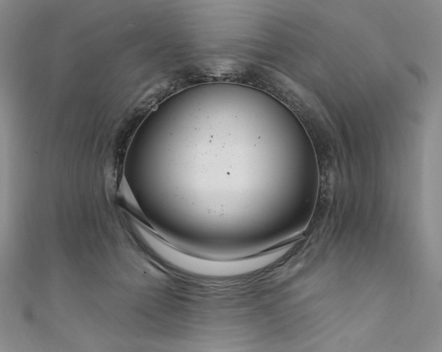 X0000108480558200904171613