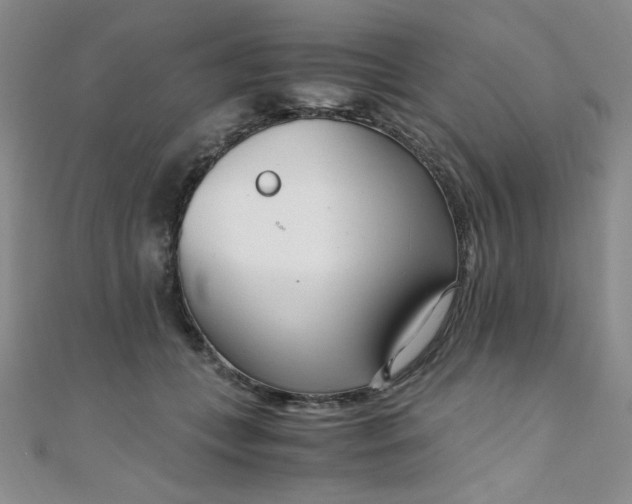 X0000108480559200904171613