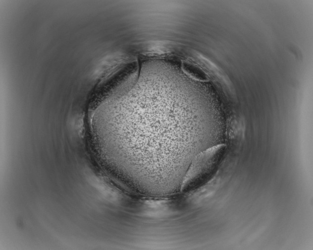 X0000108480560200904171613