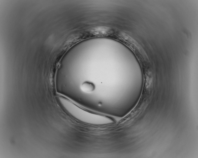 X0000108480561200904171613