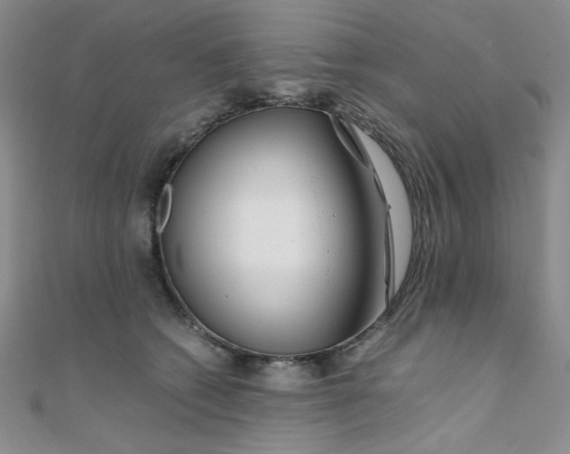 X0000108480562200904171613