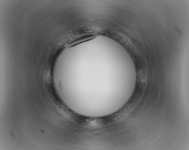 X0000108480564200904171613