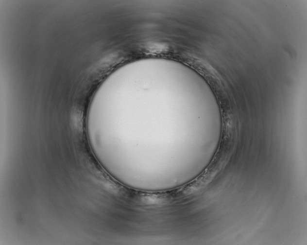 X0000108480565200904171613