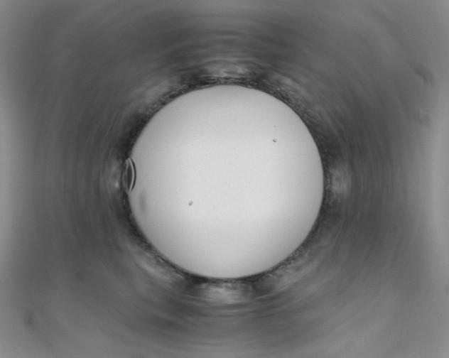 X0000108480567200904171613