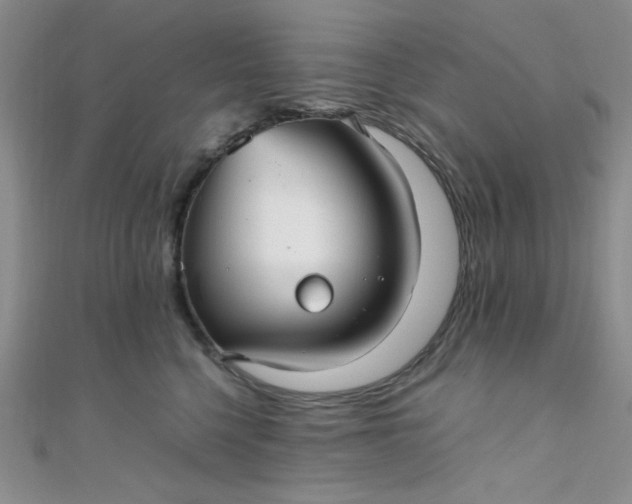 X0000108480568200904171613