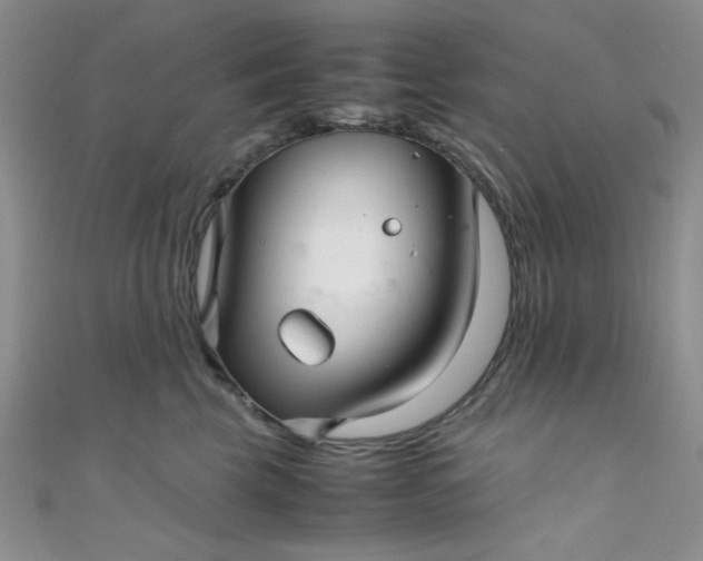 X0000108480569200904171613