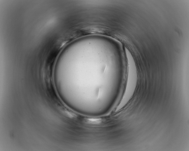 X0000108480573200904171613