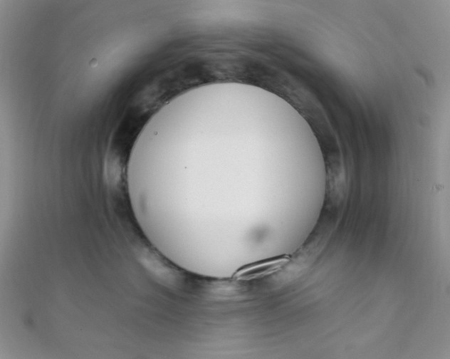 X0000108480574200904171613