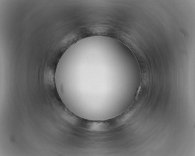 X0000108480575200904171613