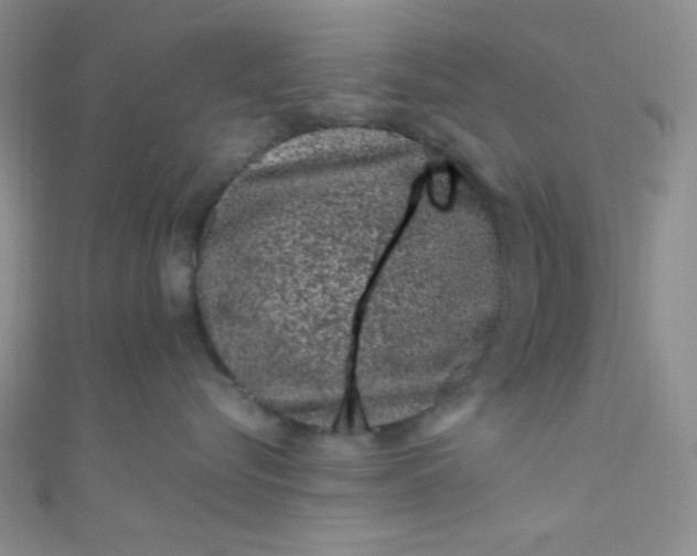 X0000108480576200904171613