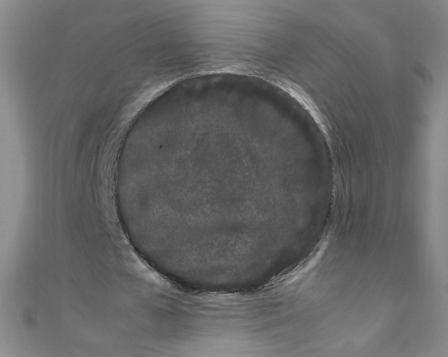 X0000108480577200904171613