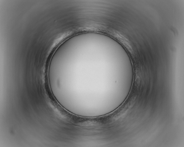 X0000108480578200904171613