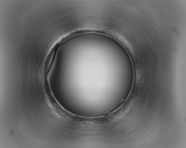X0000108480580200904171613