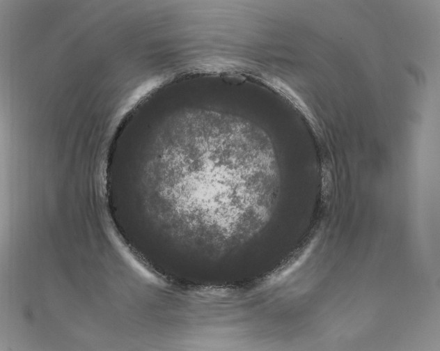 X0000108480581200904171613