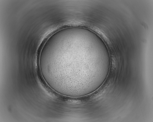 X0000108480582200904171613