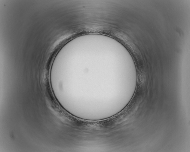 X0000108480583200904171613