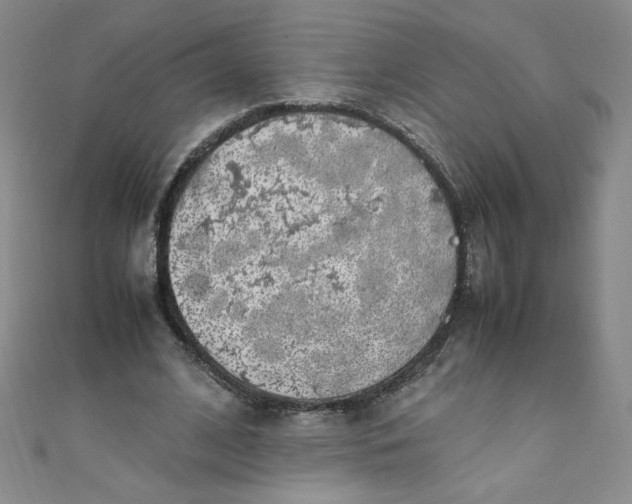X0000108480584200904171613