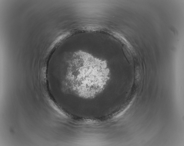 X0000108480585200904171613