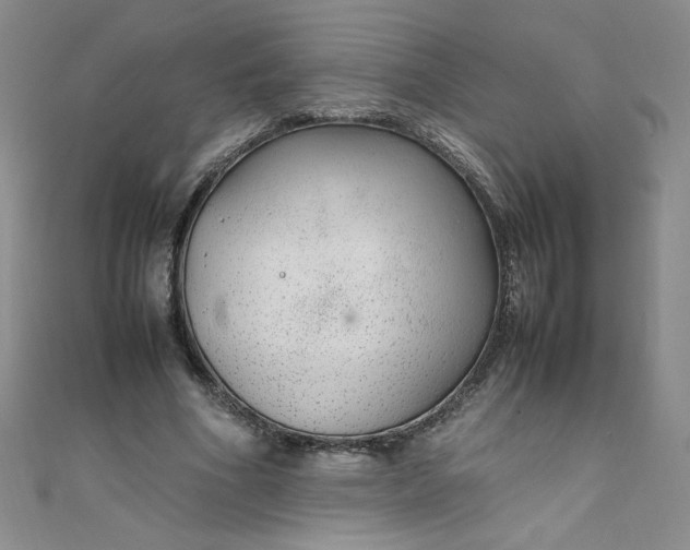 X0000108480586200904171613