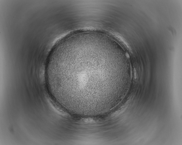 X0000108480588200904171613