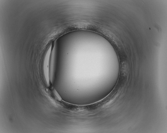 X0000108480589200904171613