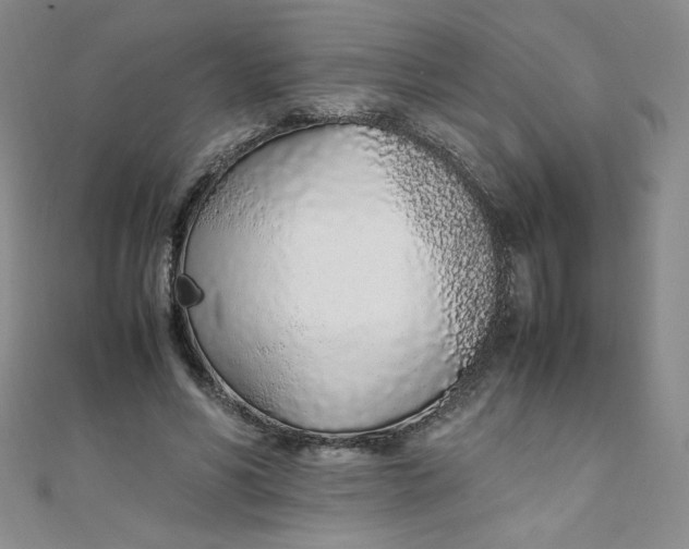 X0000108480590200904171613